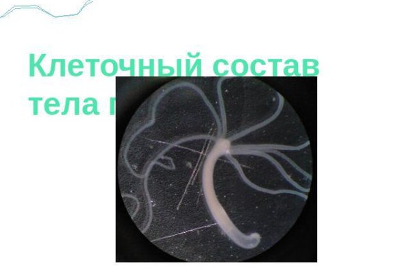 Kraken ссылка krakens13 at