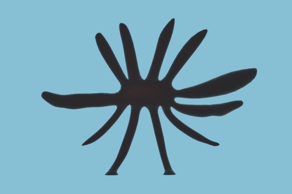 Ссылка кракен kr2web in
